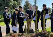 An interactive walk in the park